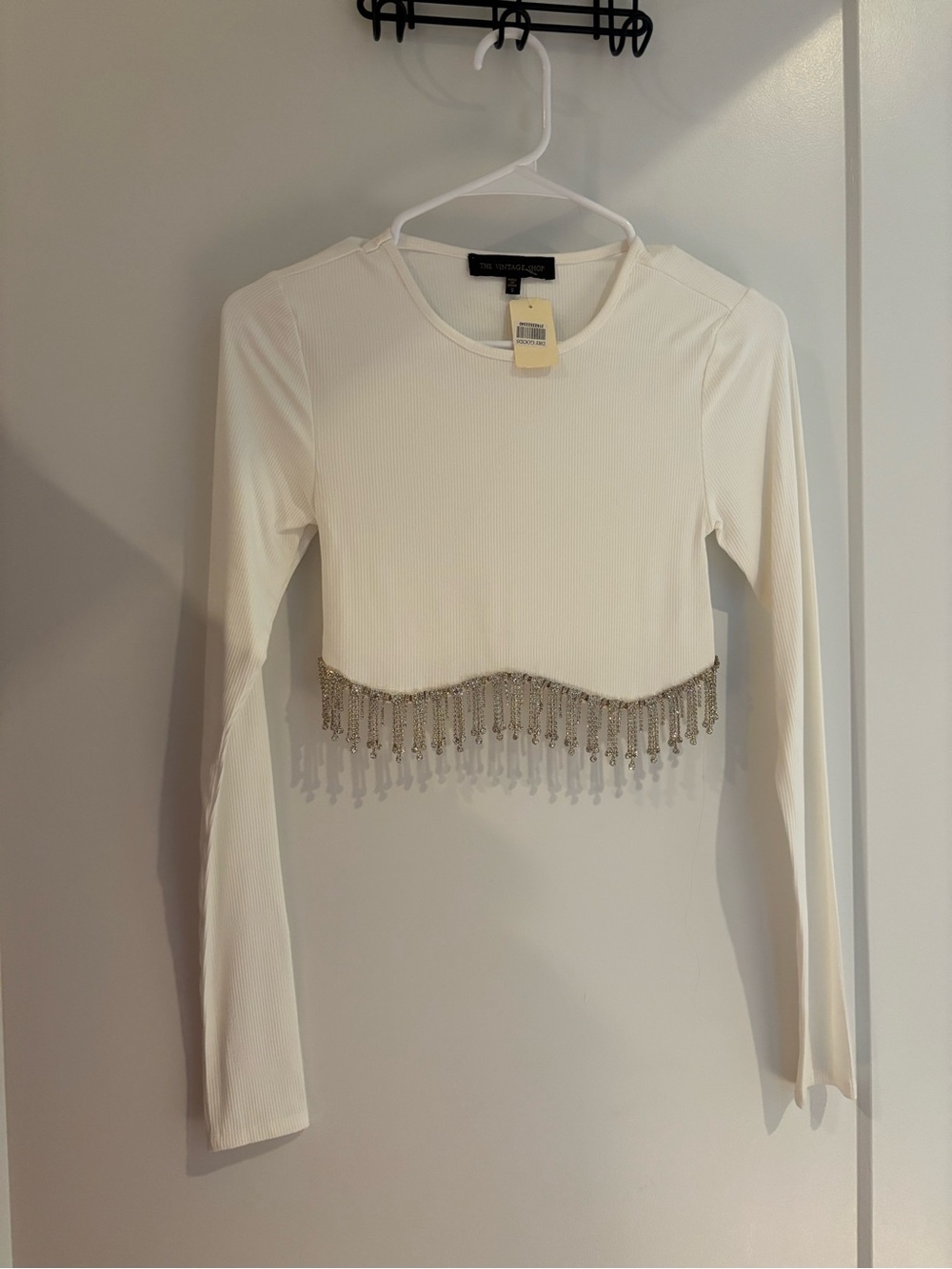 The Vintage Shop White Long-Sleeve Crop Top with Silver Chain Fringe